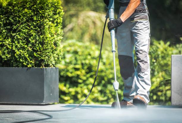 Animal Enclosure Cleaning in Plymouth, MN